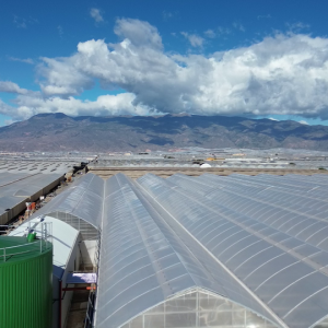 buffer tank galdeano (1)